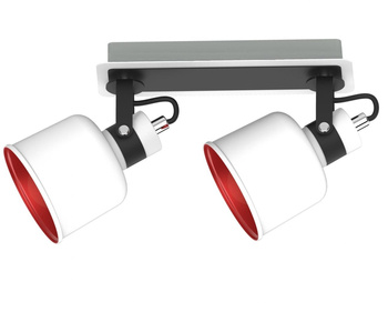 Oprawa przysufitowa 2PŁ. PAKOS 1102