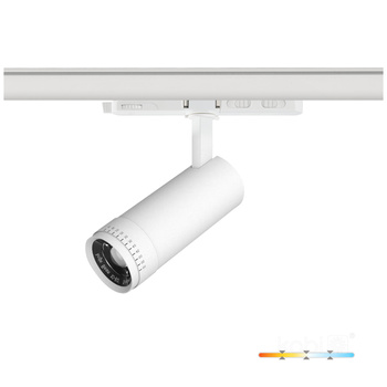 Reflektor szynowy LED NEXTRACK VISION 10W 3CCT 10-60° biały Kobi