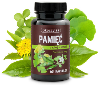 PAMIĘĆ miłorząb, bakopa, ginkgo biloba, różeniec